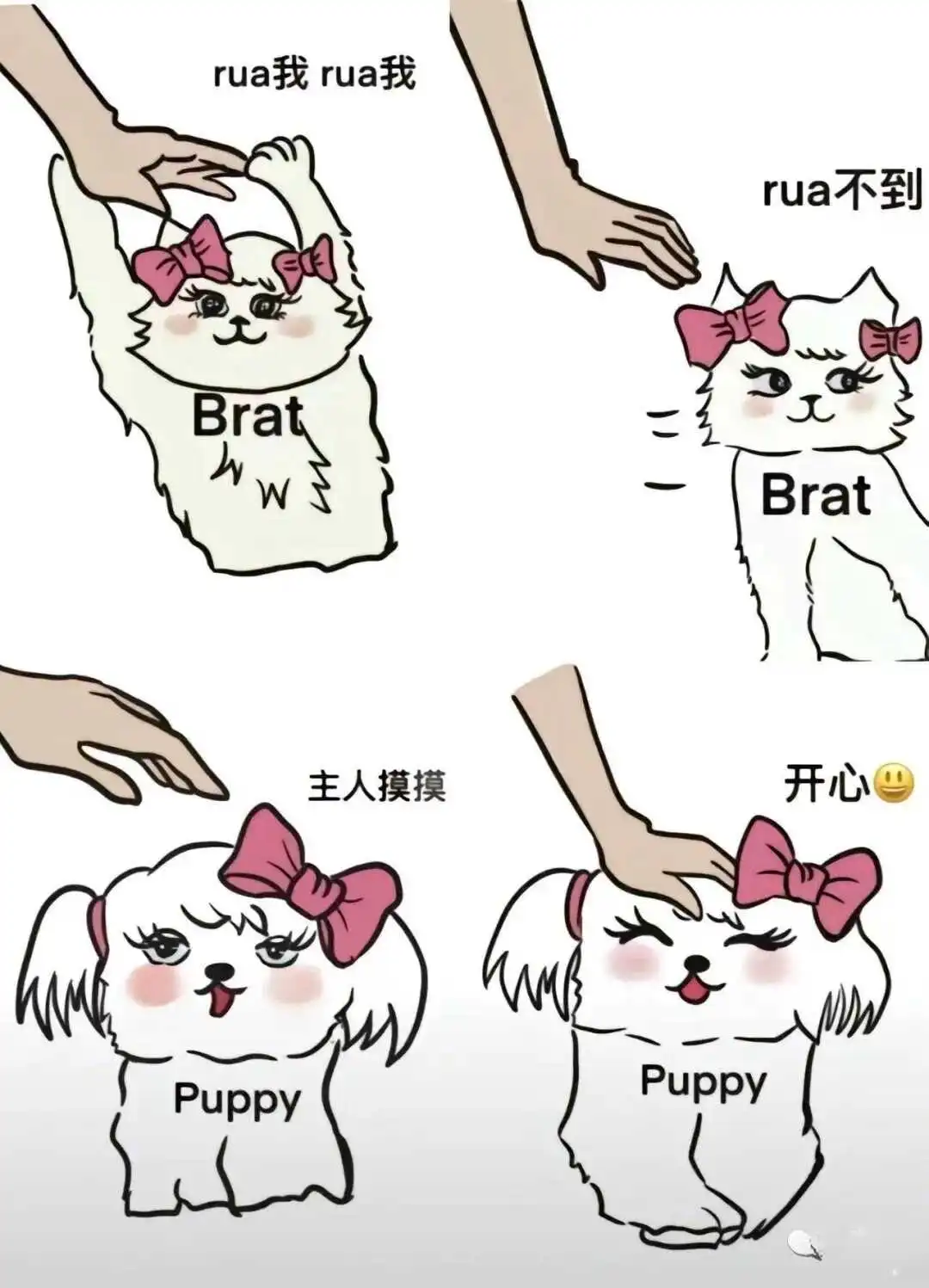 西檬之家-字母圈Sp实践指南