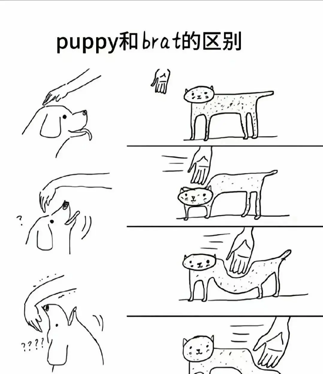 西檬之家-DT是什么？字母圈新人入圈指南