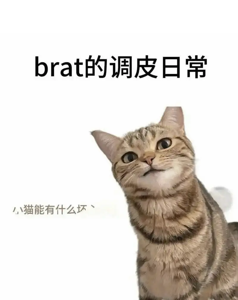 字母圈的aftercare - 2025-11-13 192048