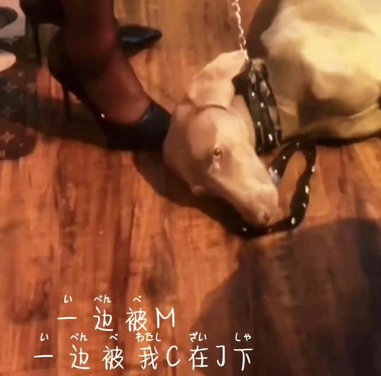 恋足癖 - 2023_11_07_20_50_IMG_8911