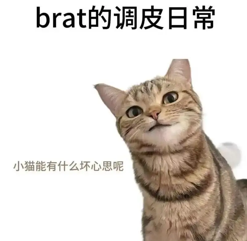 西檬之家-BDSM入圈指南：从新人视角理解字母圈关键术语