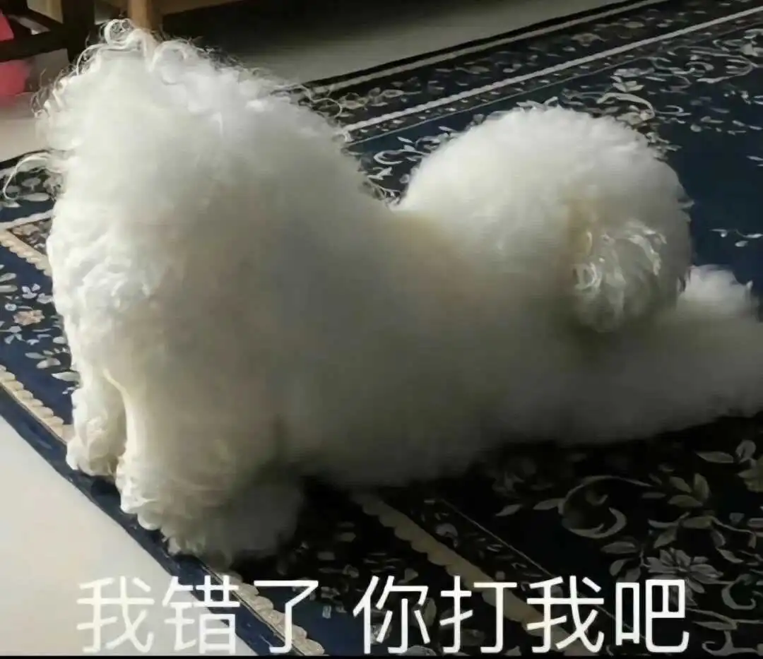 【西檬之家】字母圈新人如何入圈？BDSM新手必备指南