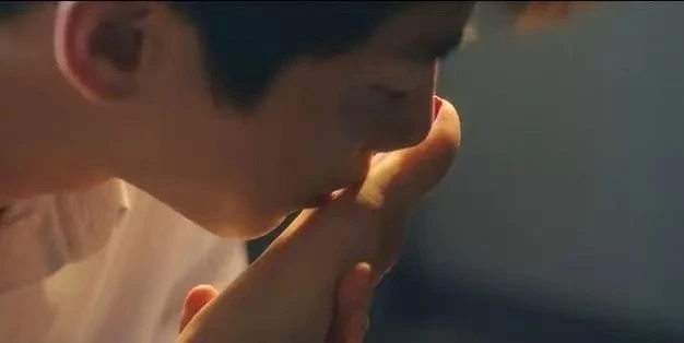 k9犬系 - 微信图片_20251203212824_101_19